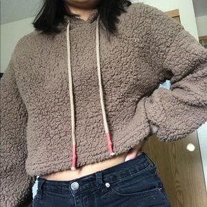 Cropped teddy bear sweatshirt